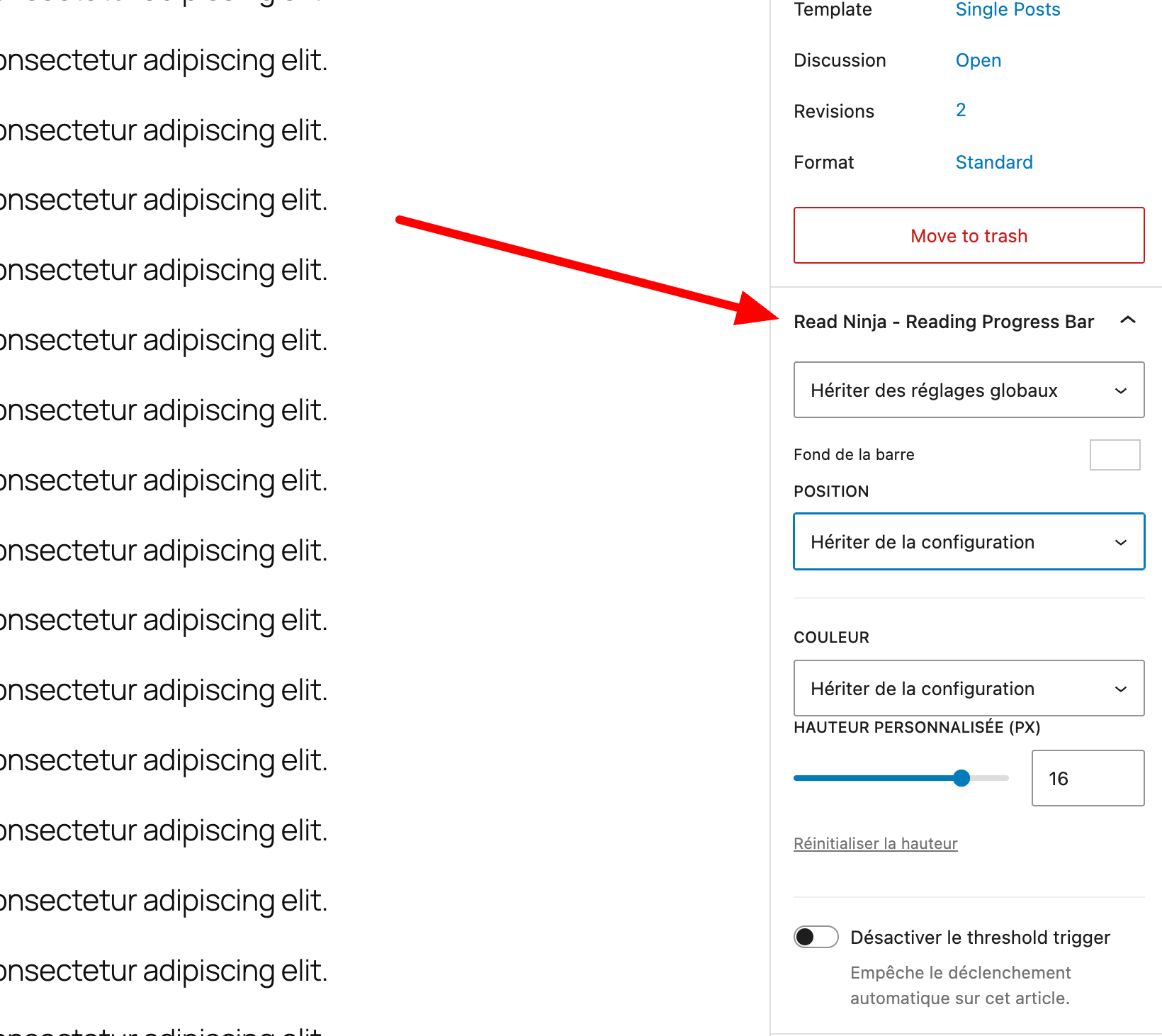 ReadNinja beitragsweise Überschreibungs-Panel in der Gutenberg-Seitenleiste
